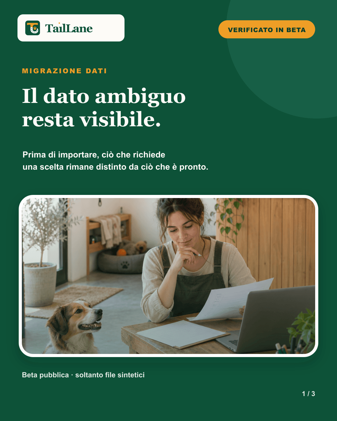 Green TailLane carousel with the approved wordmark, a Verified in beta badge, the title Ambiguous data stays visible, and an editorial photograph of a pet-care professional comparing documents beside a laptop, with a relaxed dog. A note states that the beta uses synthetic files only.