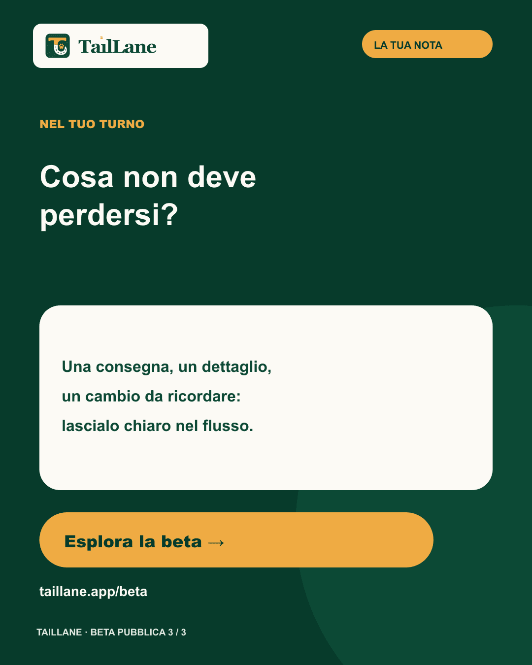 Dark-green TailLane carousel titled What must not get lost? asking about deliveries, details and changes worth remembering, with an invitation to explore the beta.