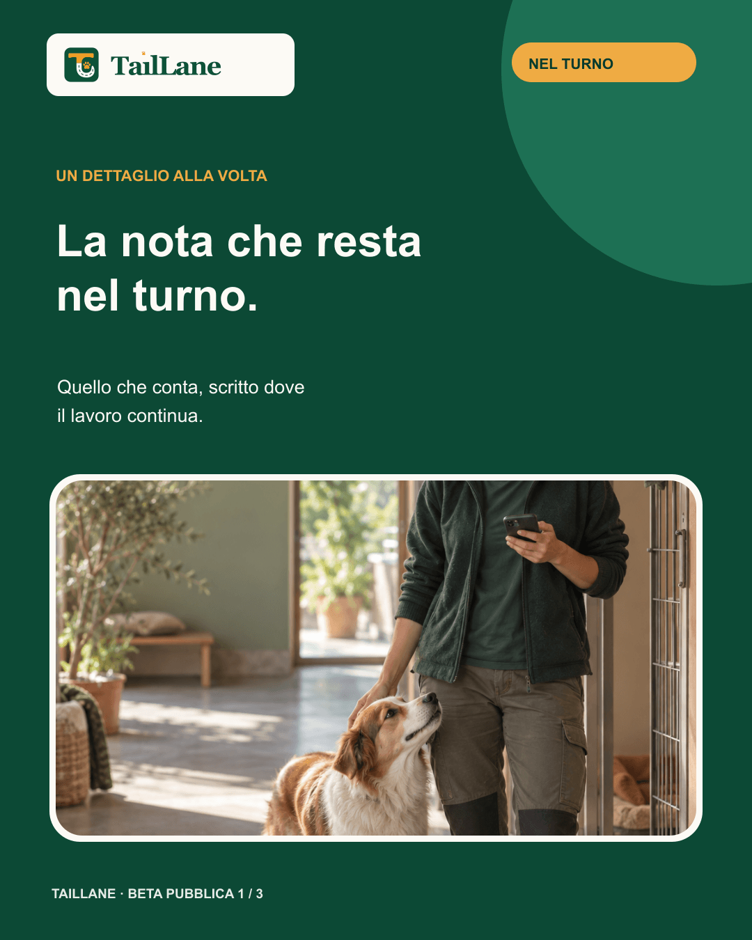 Green TailLane carousel with the approved wordmark and the title The note that stays with the shift. An editorial photograph shows a pet-care professional petting a dog while checking a generic phone with no readable content.