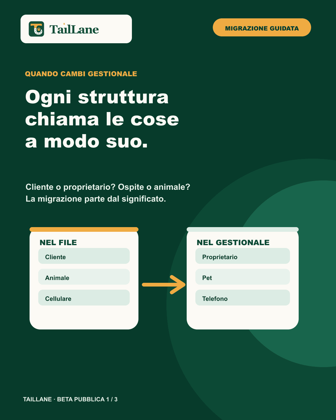 Dark-green TailLane carousel with the canonical wordmark and the title Every facility names things in its own way. Two abstract tables map Customer, Animal and Mobile phone to Owner, Pet and Telephone. There are no application screens, personal data or third-party brands.