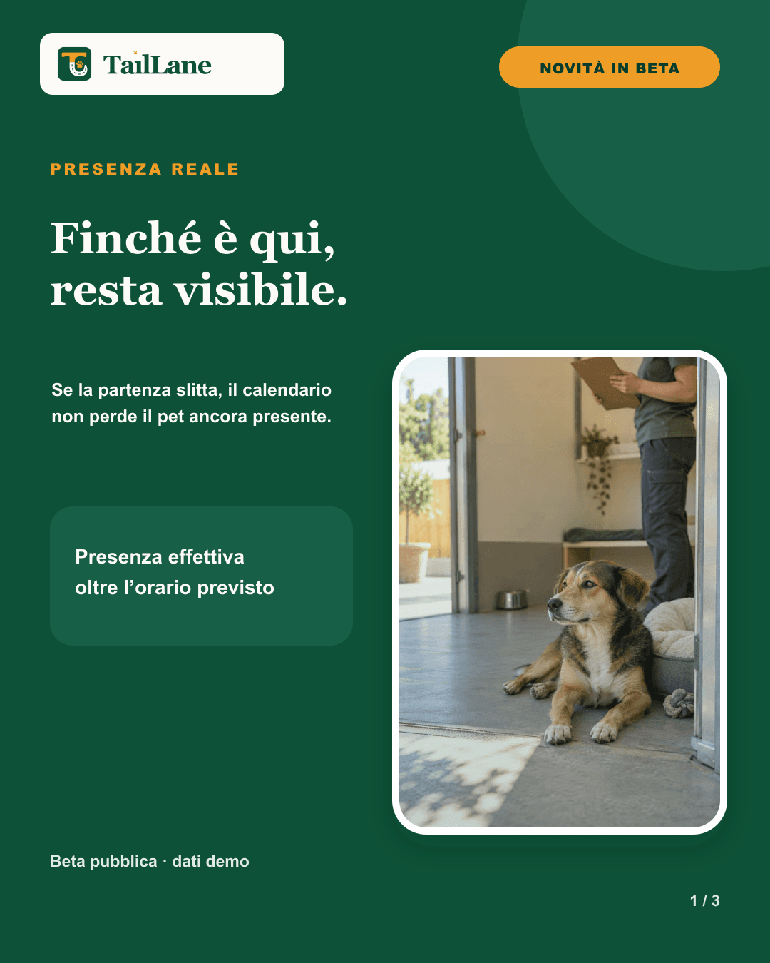 Green TailLane carousel with the approved wordmark, a New in beta badge, the title Still here, still visible, and an editorial photograph of a calm dog still present in a pet-care facility. A note explains that the calendar keeps showing a present pet after the expected departure time.
