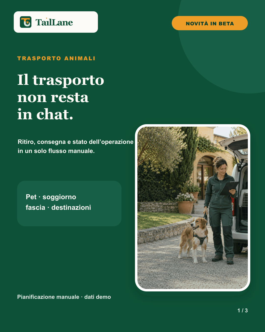Green TailLane carousel with the approved wordmark, a New in beta badge and the title Transport does not stay in chat. On the right, an editorial photo shows a pet-care operator checking a record beside a dog in a harness and an unbranded vehicle; on the left, the copy describes pickup, delivery and operation status in a manual workflow.